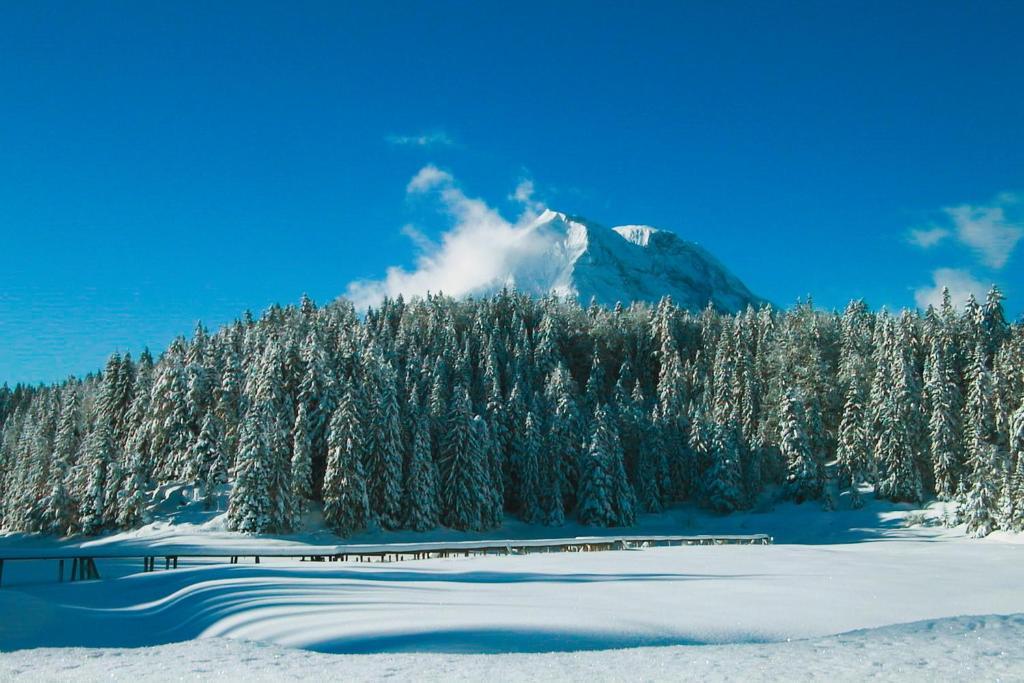 Hotel Hochland Leutasch Esterno foto